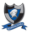 Wundaguard